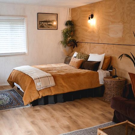 Kaitake Kabana - Unique, Off-Grid, Studio Retreat Oakura 外观 照片